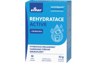 Vitar Rehydratace Active 10x4.3g